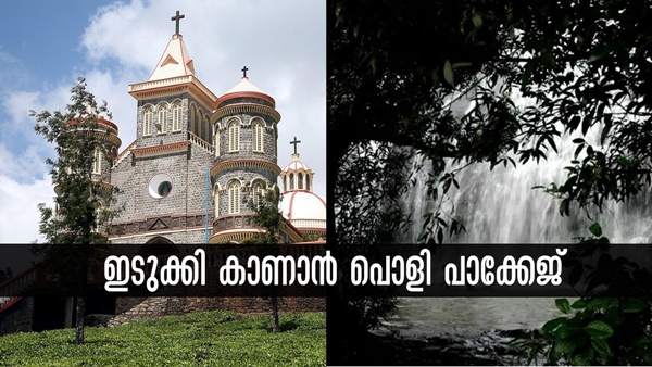KSRTC Idukki Ammachi Kottaram Pattumala Church And Anayadikuth Falls One Day Trip