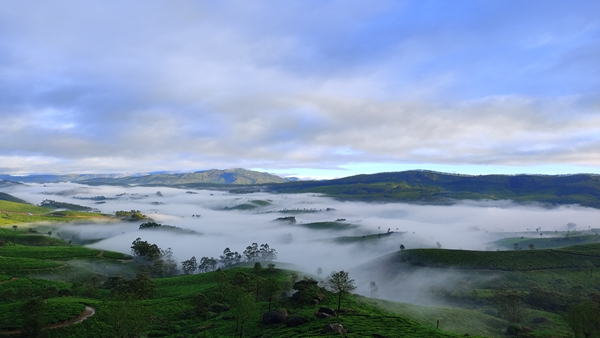 Munnar Travel Zero Degree in Munnar Best Time to Visit
