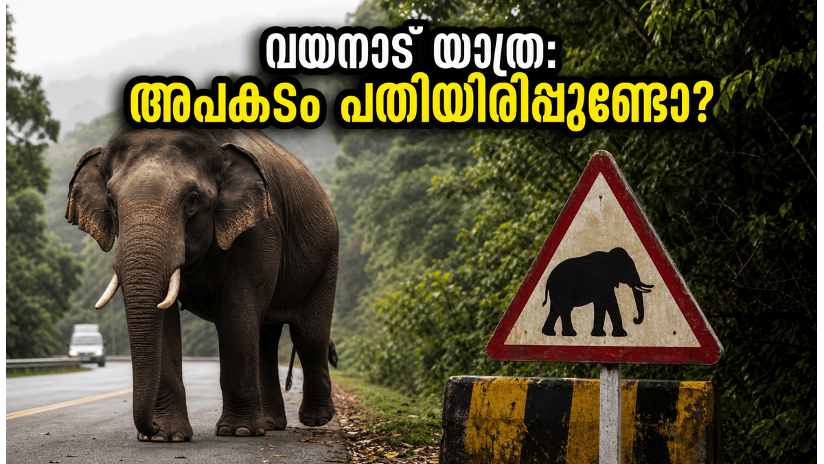 വയനാട്ടിൽ പോകാൻ പ്ലാൻ ഉണ്ടോ? കാട്ടാന ആക്രമണത്തെത്തുടർന്ന് ഈ കാര്യങ്ങൾ അറിയാതെ യാത്ര ചെയ്യരുത്, അപകടം പതിയിരിപ്പുണ്ട്!