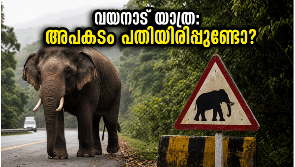 Wayanad travel restrictions: Essential safety guidelines for tourists following recent elephant attacks in 2026 Wayanad travel restrictions: Essential safety guidelines for tourists following recent elephant attacks in 2026