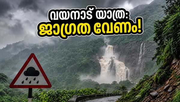Wayanad Weather Alert: Essential Travel Safety Tips, Road Updates, and Precautions for Your Trip in May 2026