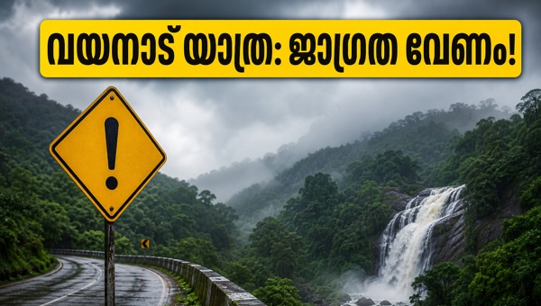 Wayanad Yellow Alert: Essential Travel Safety Tips and Precautions for Heavy Rain on May 19, 2026 Wayanad Yellow Alert: Essential Travel Safety Tips and Precautions for Heavy Rain on May 19, 2026