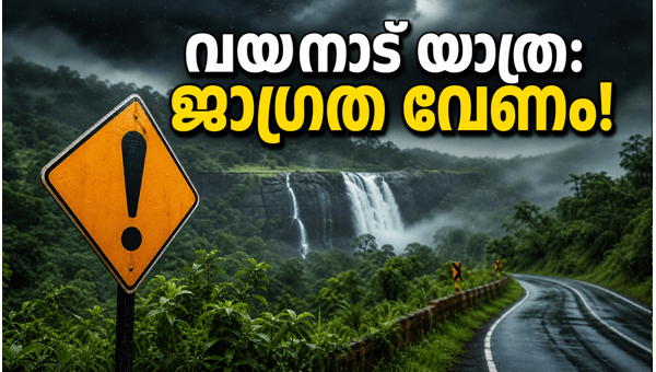 Wayanad Orange Alert: Essential Travel Guidelines and Safety Tips for Tourists in 2026