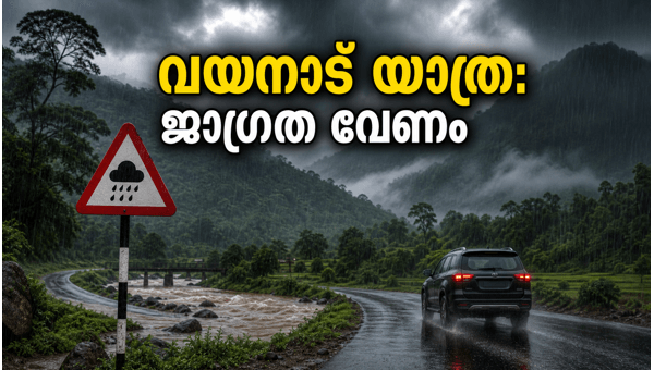 Wayanad Orange Alert: Essential Travel Safety Tips and Precautions for June 2026