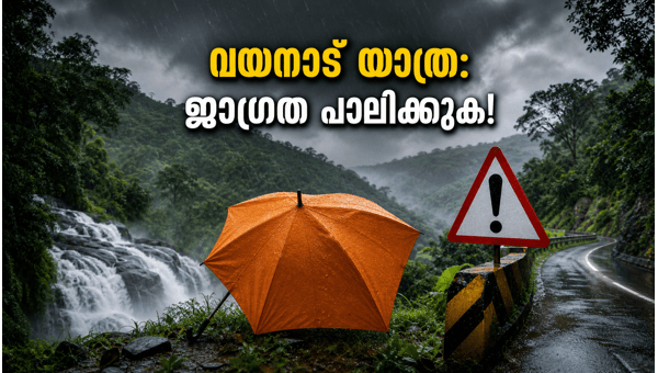 Wayanad Rain Alert 2026: Essential Travel Restrictions and Safety Tips for Tourists