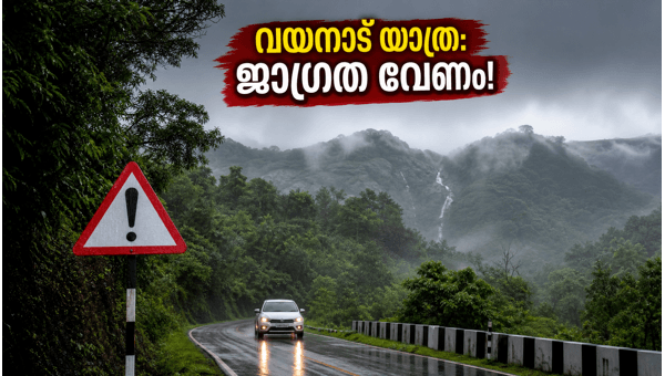 Wayanad Yellow Alert 2026: Essential Travel Safety Tips and Precautions for Tourists in Kerala