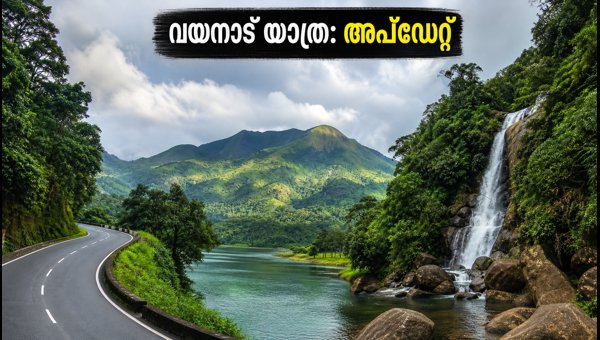 Wayanad Travel Guide July 2026: Weather Forecast and Tourist Spot Status Update Wayanad Travel Guide July 2026: Weather Forecast and Tourist Spot Status Update