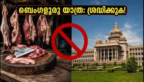 Bengaluru Meat and Alcohol Ban on October 2 2026: Travel Tips and Restrictions for Tourists