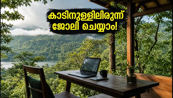 Shola Workation 2026: Work from Gavi and Suryanelli Forests with High-Speed Internet Access Shola Workation 2026: Work from Gavi and Suryanelli Forests with High-Speed Internet Access