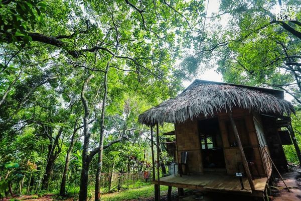 Which is the Cleanest Village in Asia? Have you Heard of the Name Mawlynnong of India?