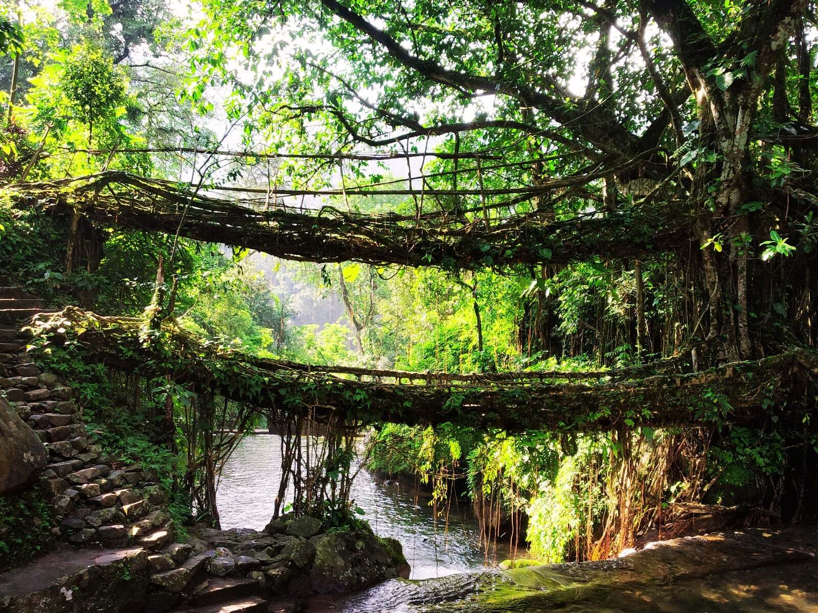 Why is Meghalaya Emerging as the Best Tourist Destination in Northeast India?