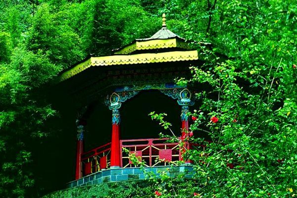 Experience the Himalayan Winter in Sikkim.