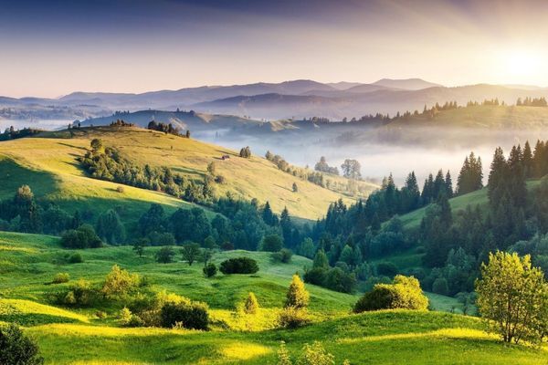Know the Specialty of Kodaikanal That Attracts Honeymooners and Couples