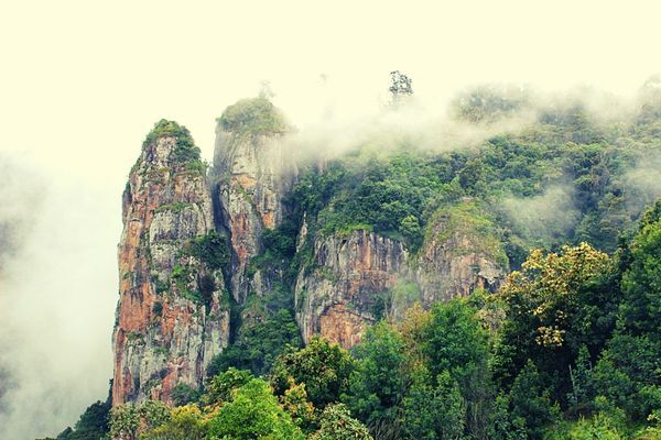 Know the Specialty of Kodaikanal That Attracts Honeymooners and Couples