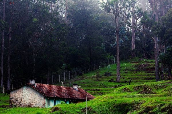 Know the Specialty of Kodaikanal That Attracts Honeymooners and Couples