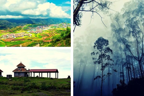 Know the Specialty of Kodaikanal That Attracts Honeymooners and Couples