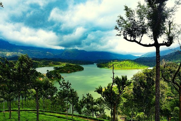 Munnar- The Most Romantic Place in Kerala to Visit With Your Partner