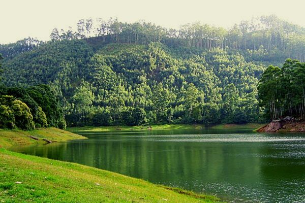 Munnar- The Most Romantic Place in Kerala to Visit With Your Partner