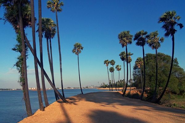 Why Coimbatore Is One of The Best Destinations to Celebrate Mahashivaratri 2023?