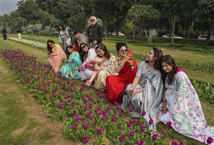 Images of the Beauty and Diversity of Tulips at the Delhi Tulip Festival