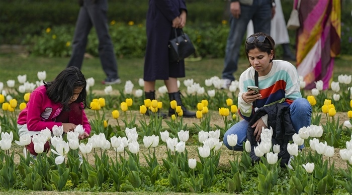 Images of the Beauty and Diversity of Tulips at the Delhi Tulip Festival