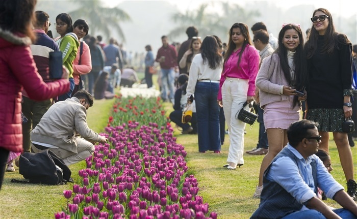 Images of the Beauty and Diversity of Tulips at the Delhi Tulip Festival