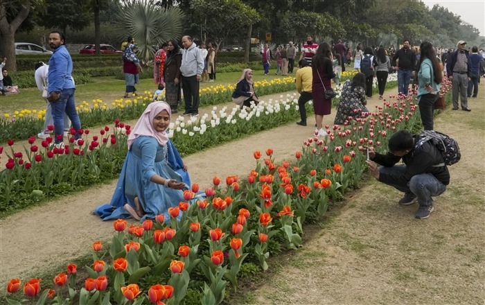 Images of the Beauty and Diversity of Tulips at the Delhi Tulip Festival
