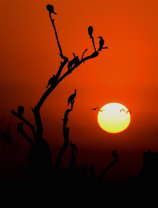 Captivating Colors: Explore 10 Iconic Sunset Views Across India
