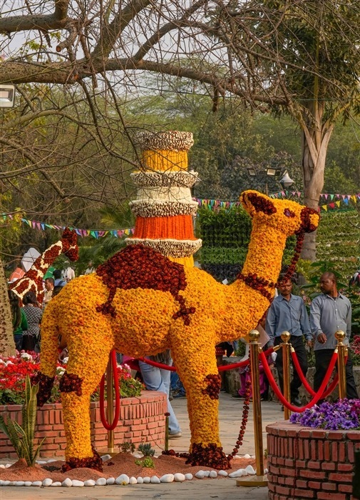 Delhi's Garden Tourism Festival in Pictures