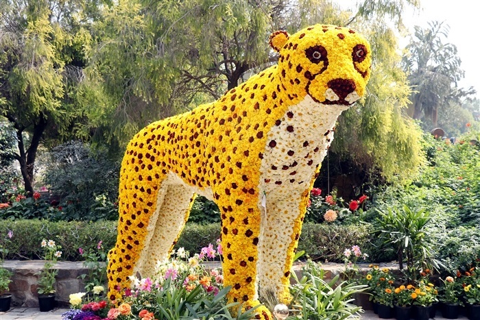 Delhi's Garden Tourism Festival in Pictures