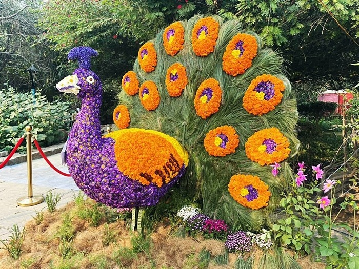 Delhi's Garden Tourism Festival in Pictures