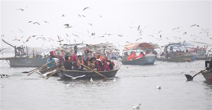 Feathered Travelers: Why Migratory Birds Flock to India