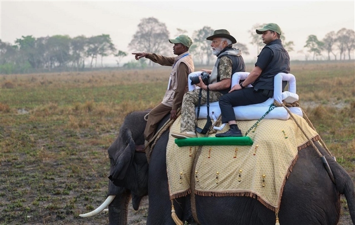 Images of PM Modi's Memorable Experience at Kaziranga National Park