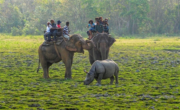 Images of PM Modi's Memorable Experience at Kaziranga National Park
