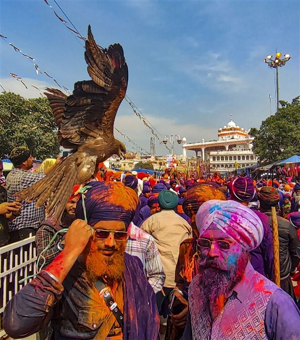 In Pics: Hola Mohalla - A Vibrant Sikh Festival Celebrated in Anandpur Sahib