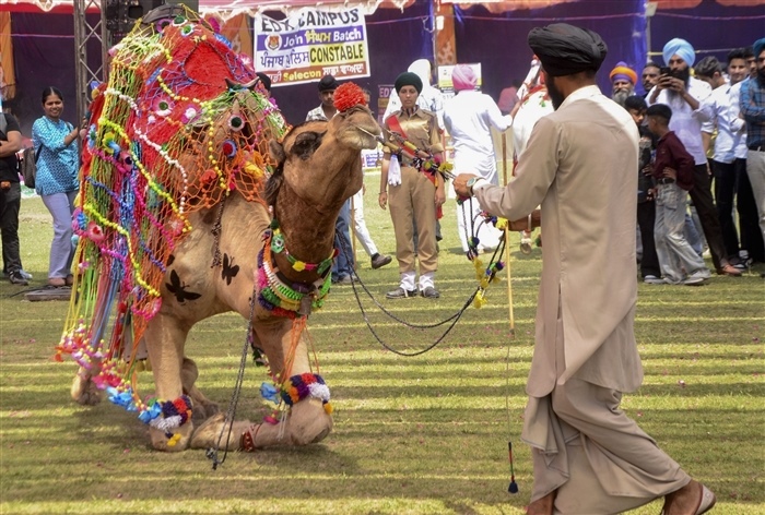 In Pictures: Exploring the Rich Traditions of Baisakhi Celebrations