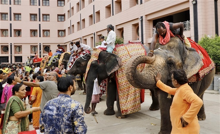 Significance of Elephants in Indian Culture: Exploring Through Images