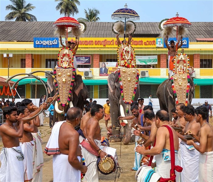 Significance of Elephants in Indian Culture: Exploring Through Images