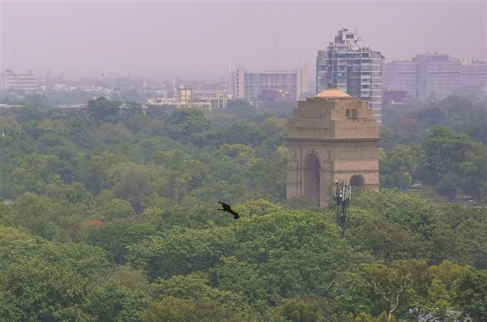 In Picture: India Gate; A Timeless Tribute to Valor