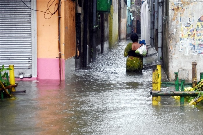 Pictures of Cyclone Remal's Impact on West Bengal