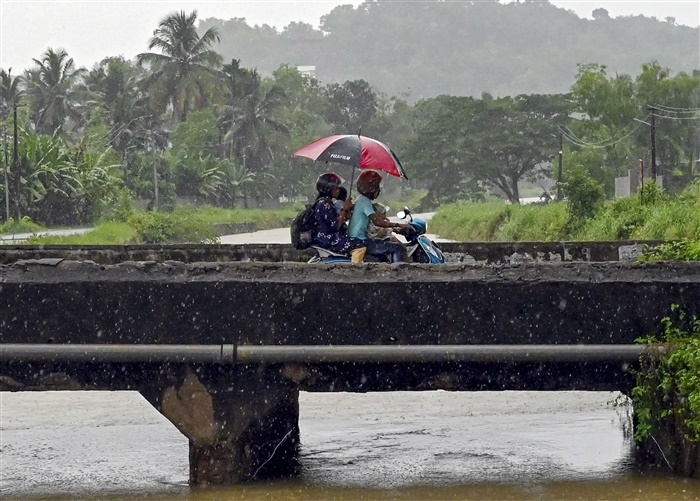 Dancing in the Rain: The Magic of Monsoon Moments in Pics