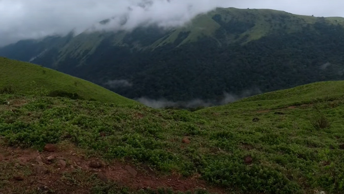 Discover Devara Mane Betta: A Natural and Cultural Gem in Karnataka
