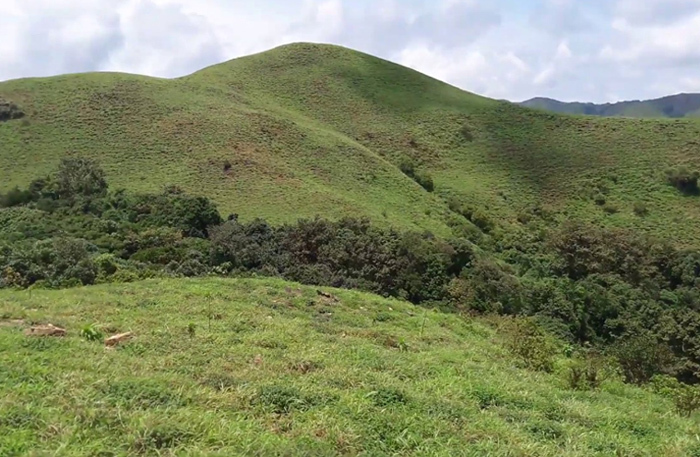 Pushpagiri Wildlife Sanctuary