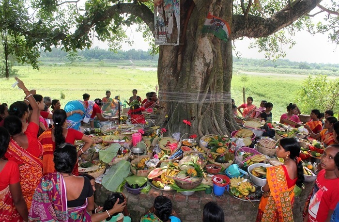 Pics: Jomai Shashti, a joyful and celebratory occasion of  Bengali culture