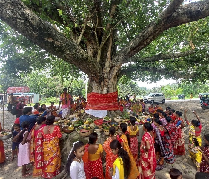 Pics: Jomai Shashti, a joyful and celebratory occasion of  Bengali culture