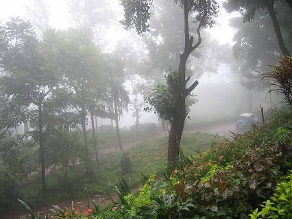 Top Monsoon Travel Spots in Karnataka for Nature Lovers