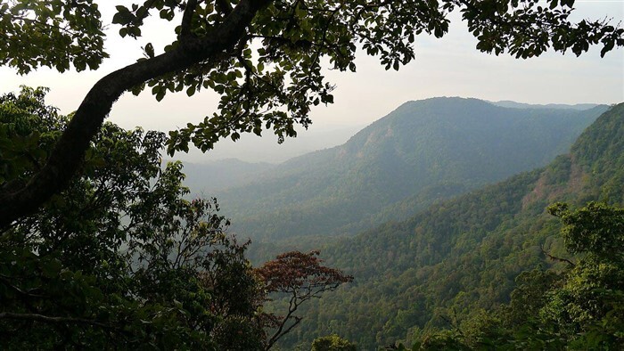 Top Monsoon Travel Spots in Karnataka for Nature Lovers
