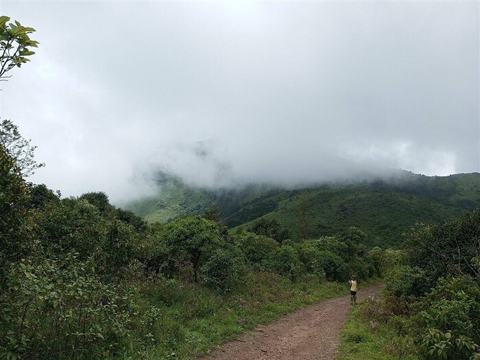Top Monsoon Travel Spots in Karnataka for Nature Lovers