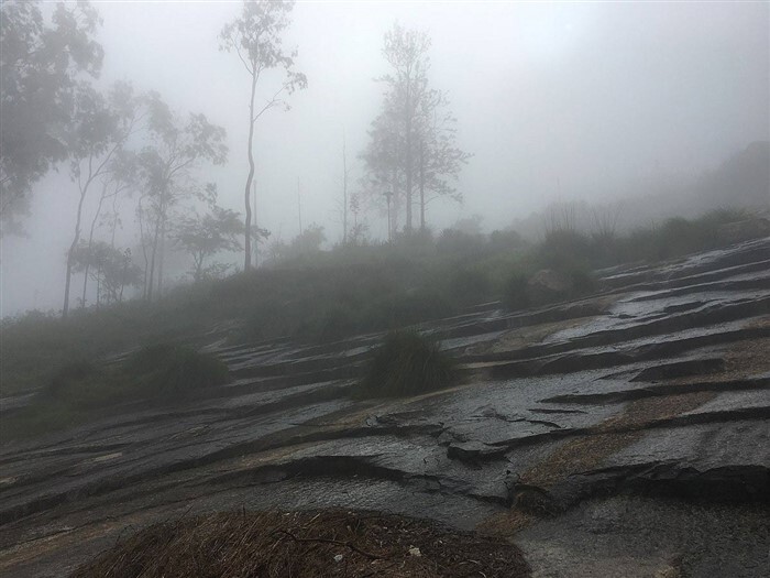 Top Monsoon Travel Spots in Karnataka for Nature Lovers