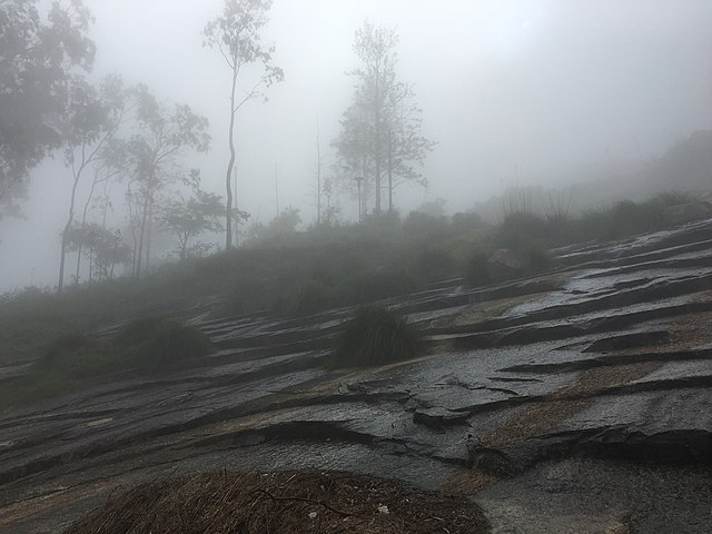 Captivating Getaways Near Bangalore For The Monsoon Season